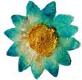 Gesangsunterricht Seele singt Anke Hachfeld Blume